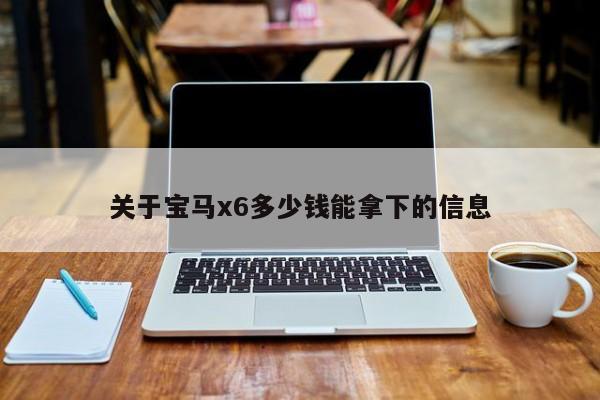 关于宝马x6多少钱能拿下的信息