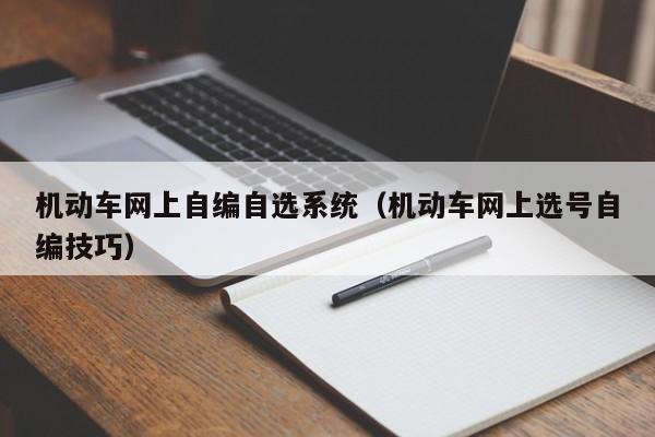 机动车网上自编自选系统（机动车网上选号自编技巧）