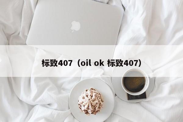 标致407（oil ok 标致407）