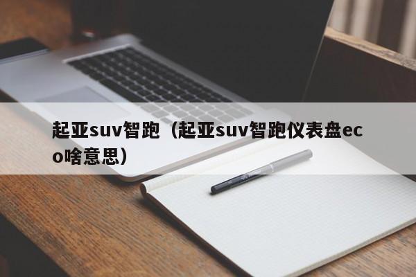 起亚suv智跑（起亚suv智跑仪表盘eco啥意思）