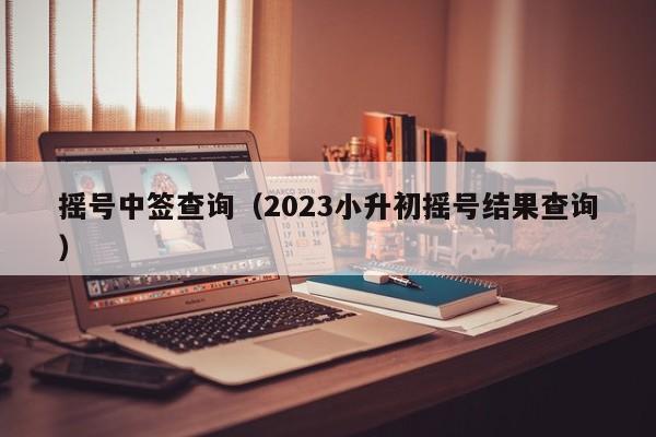 摇号中签查询（2023小升初摇号结果查询）