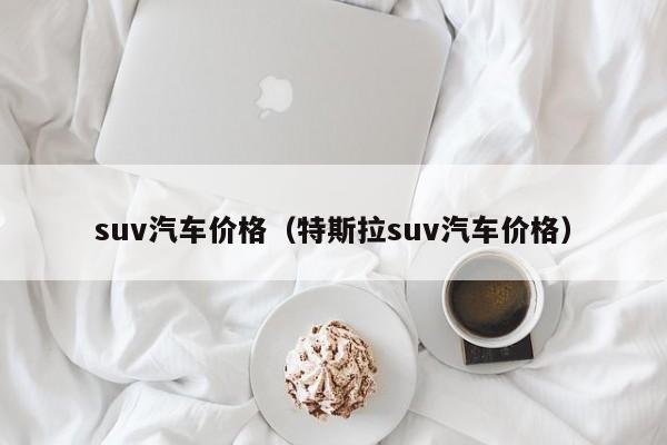 suv汽车价格（特斯拉suv汽车价格）