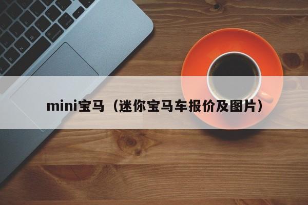 mini宝马（迷你宝马车报价及图片）