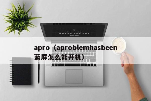 apro（aproblemhasbeen蓝屏怎么能开机）