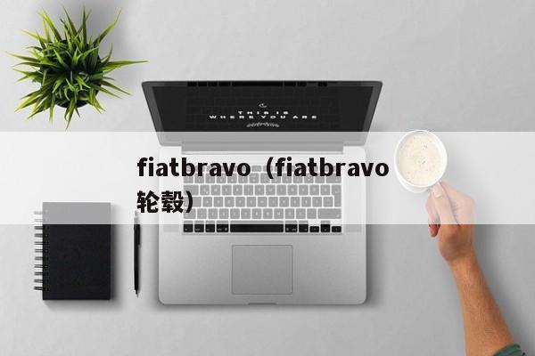 fiatbravo（fiatbravo 轮毂）