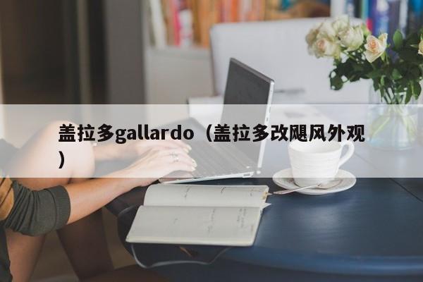 盖拉多gallardo（盖拉多改飓风外观）