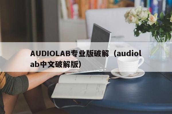 AUDIOLAB专业版破解（audiolab中文破解版）