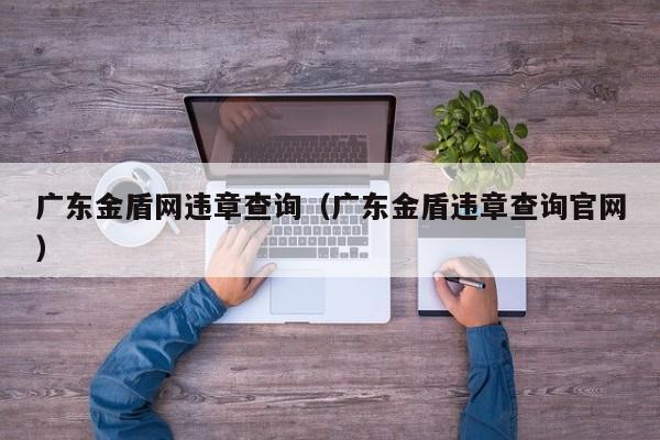 广东金盾网违章查询（广东金盾违章查询官网）