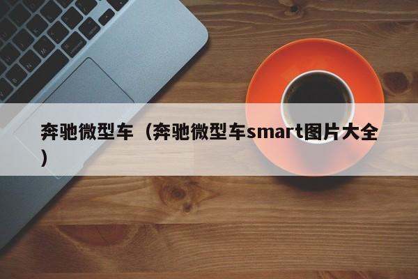 奔驰微型车（奔驰微型车smart图片大全）