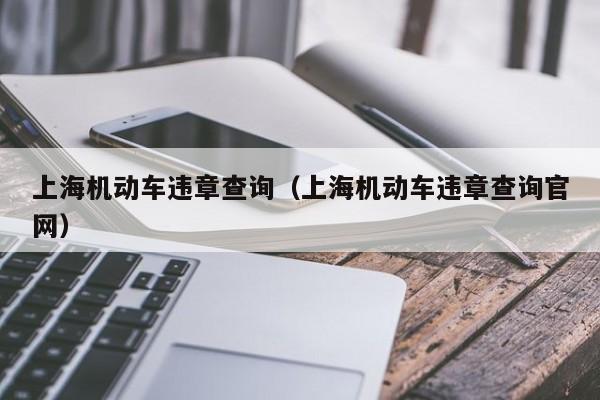 上海机动车违章查询（上海机动车违章查询官网）