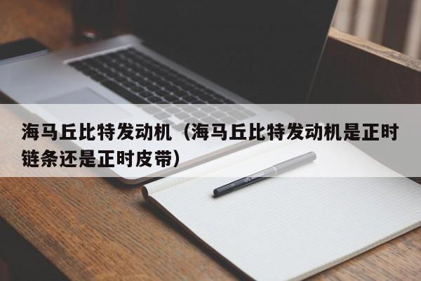 海马丘比特发动机（海马丘比特发动机是正时链条还是正时皮带）