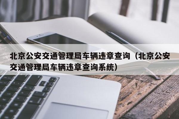 北京公安交通管理局车辆违章查询（北京公安交通管理局车辆违章查询系统）