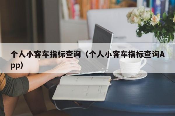 个人小客车指标查询（个人小客车指标查询App）