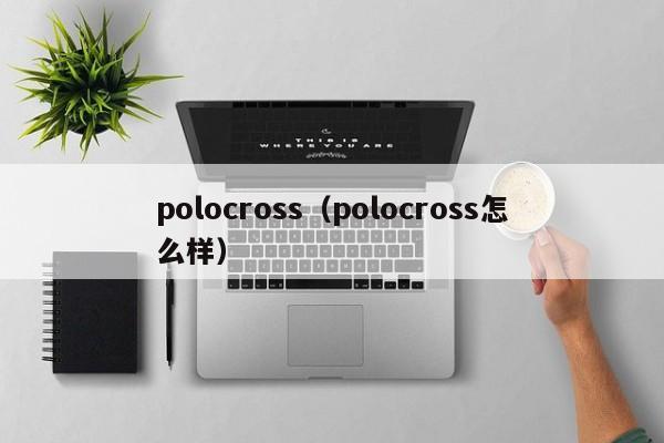 polocross（polocross怎么样）