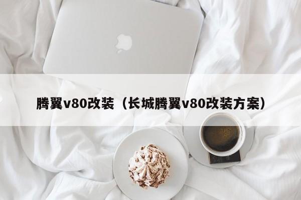 腾翼v80改装（长城腾翼v80改装方案）