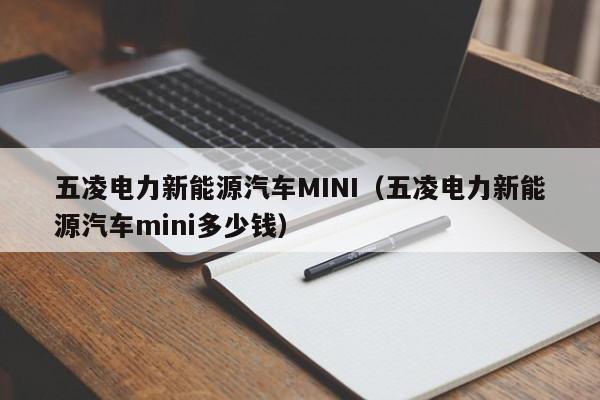 五凌电力新能源汽车MINI（五凌电力新能源汽车mini多少钱）