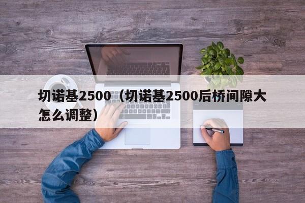 切诺基2500（切诺基2500后桥间隙大怎么调整）