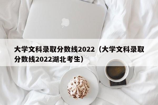 大学文科录取分数线2022（大学文科录取分数线2022湖北考生）