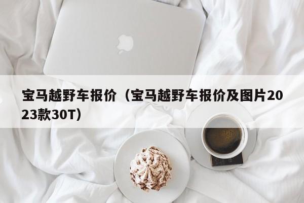 宝马越野车报价（宝马越野车报价及图片2023款30T）