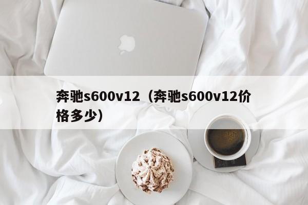 奔驰s600v12（奔驰s600v12价格多少）