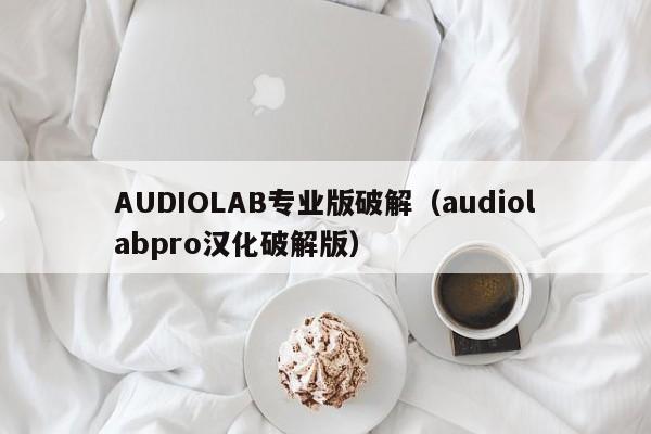 AUDIOLAB专业版破解（audiolabpro汉化破解版）