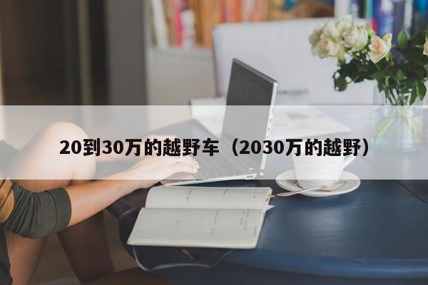 20到30万的越野车（2030万的越野）