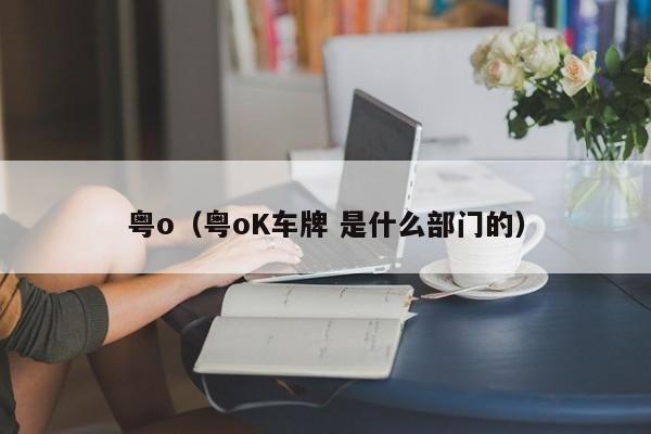 粤o（粤oK车牌 是什么部门的）