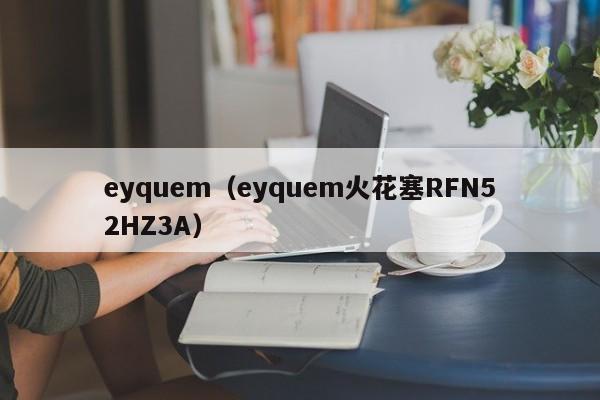 eyquem（eyquem火花塞RFN52HZ3A）