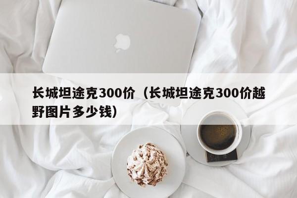 长城坦途克300价（长城坦途克300价越野图片多少钱）