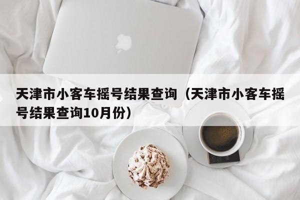 天津市小客车摇号结果查询（天津市小客车摇号结果查询10月份）