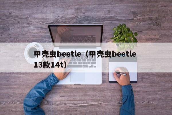 甲壳虫beetle（甲壳虫beetle 13款14t）