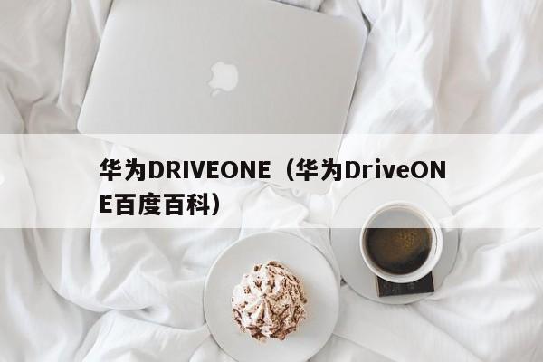 华为DRIVEONE（华为DriveONE百度百科）