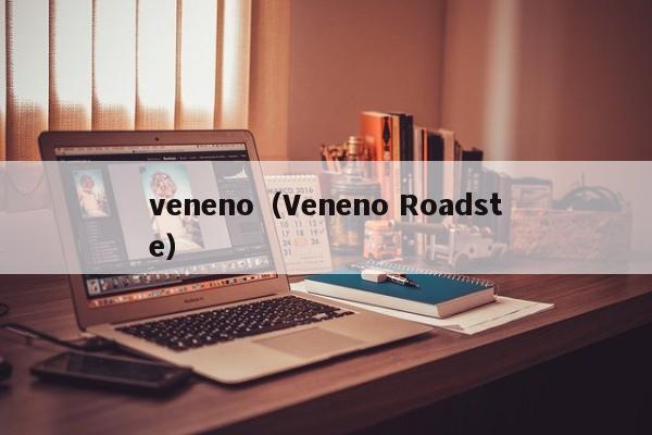 veneno（Veneno Roadste）